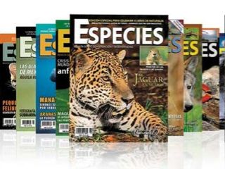 ecologia 4 revista especies-web