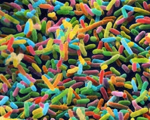 ciencia-microbiomaWEB