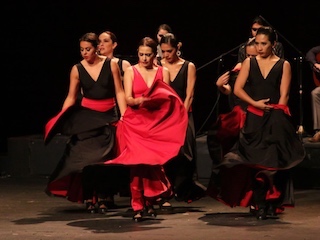 web-danza-Viva Flamenco