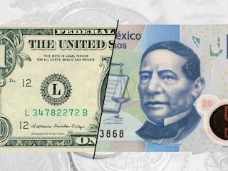 web-22-dolar-peso
