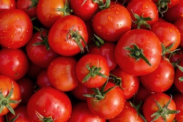 web-22-tomate