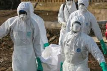 web-33-ebola