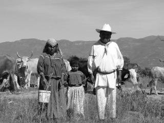 Pueblos-indigenas