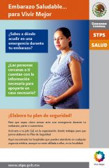 salud1-Embarazo