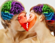 salud1-amor neurobiologia