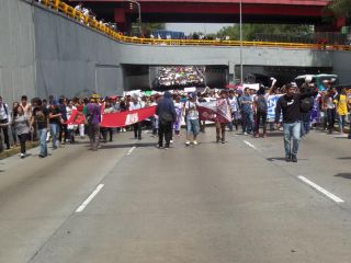 marcha8