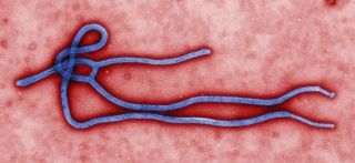 inter-ebola