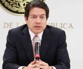 Mario Delgado Carrillo