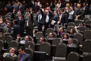 licencia diputados