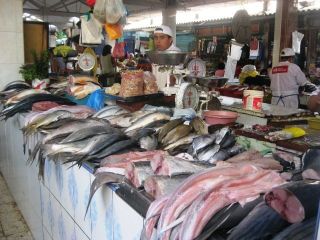 venta de pescados