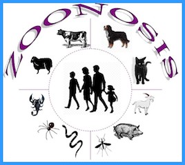 18A1 zoonosis