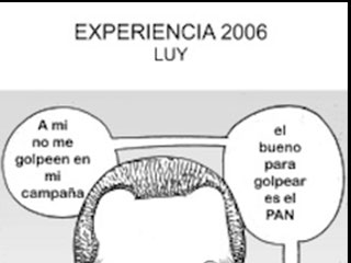 luy306