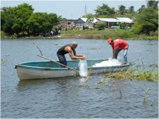 pol pesca